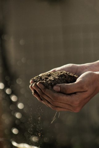Soil_hand