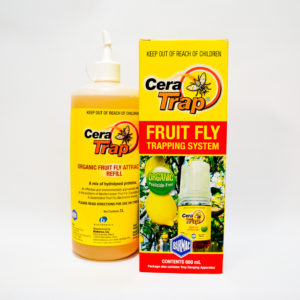 Fruit Fly Solutions